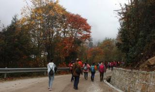 燕子沟图片 燕子沟图片