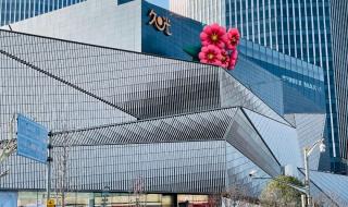 消费券怎么领 消费券怎么领