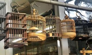 上海二手货市场 上海二手货市场