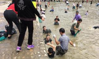 徒手抓鱼乐趣多 徒手抓鱼乐趣多